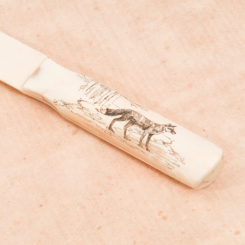 Fox Engraved Scrimshaw Ox Bone Letter Opener - Image 4